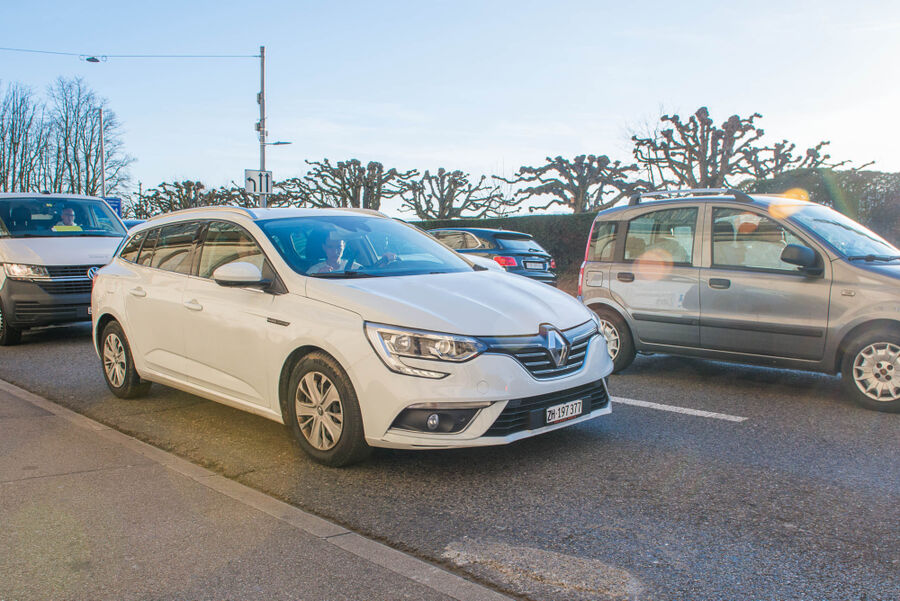 expert exterminateur desinsectiseur