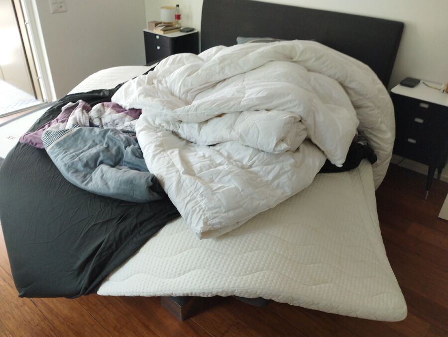 desinfestateur a-Boudry-Inspektion.jpeg