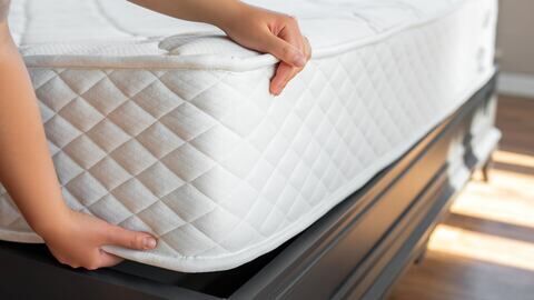 Exterminateur pour acariens