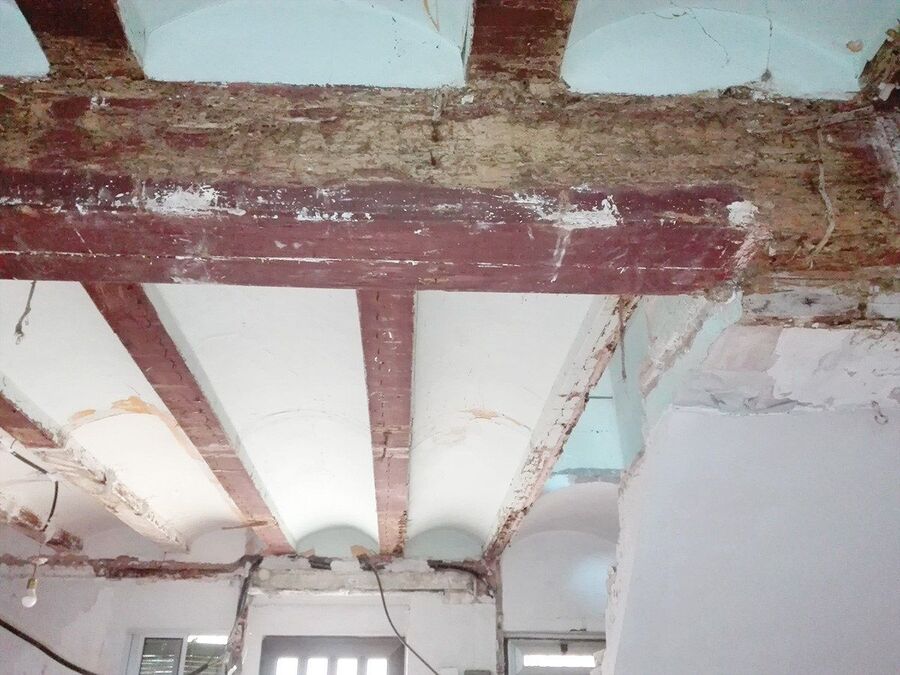 Exterminateur pour termites