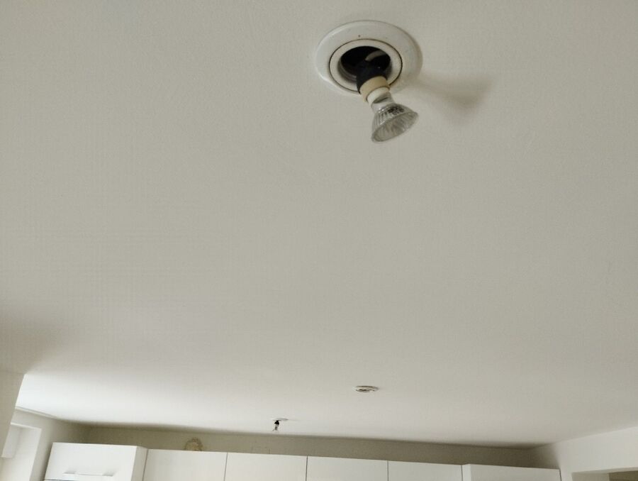 anti nuisibles a-Bullet-Beratung.jpg