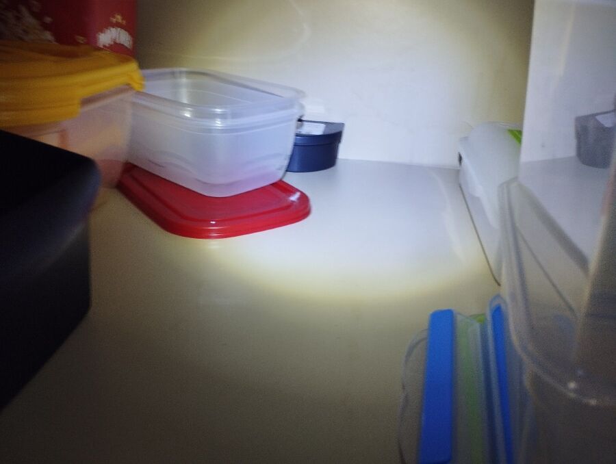 anti nuisibles a-Les Breuleux-Beratung.jpg