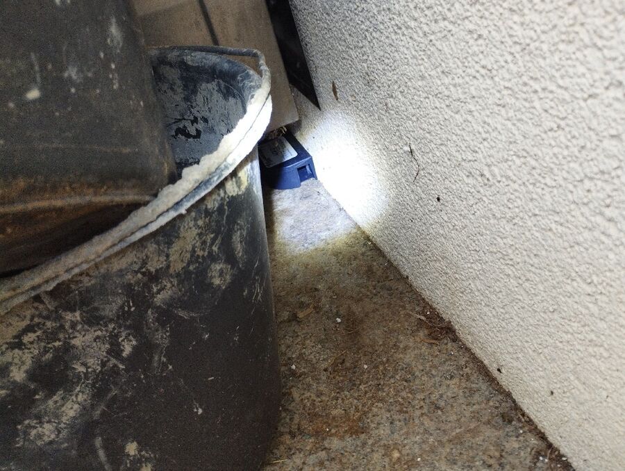 anti nuisibles a-Bussy-sur-Moudon-Beratung.jpg