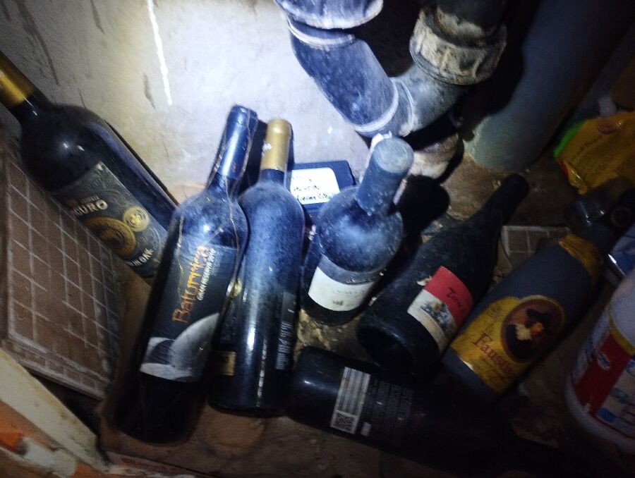 anti nuisibles a-Champagne-Beratung.jpg