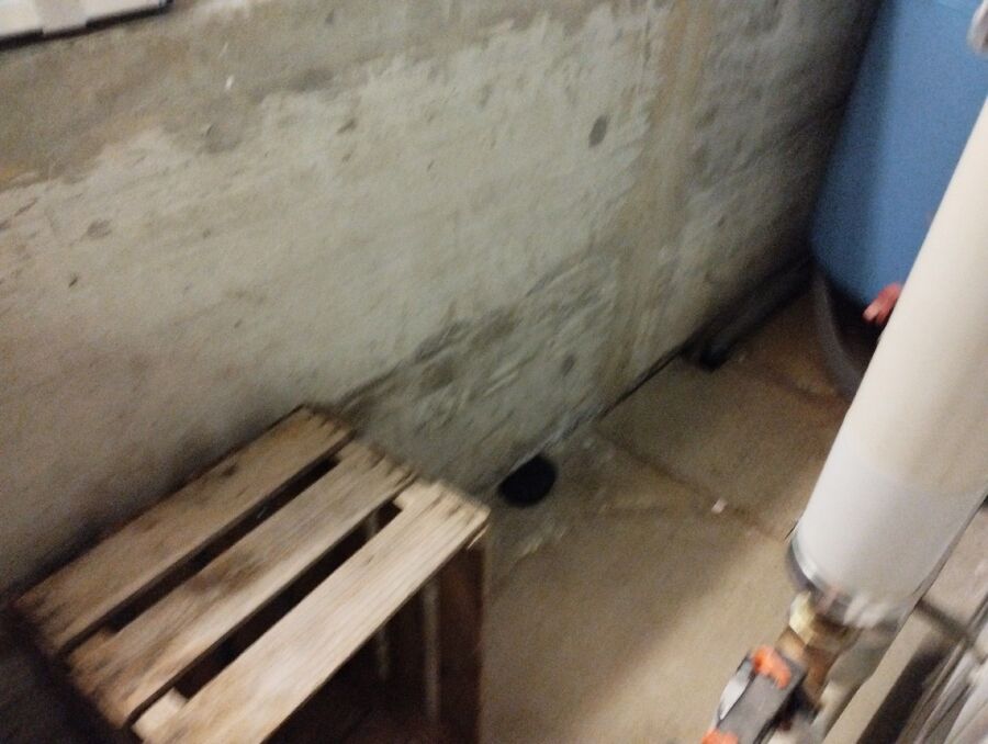 anti nuisibles a-Champvent-Beratung.jpg