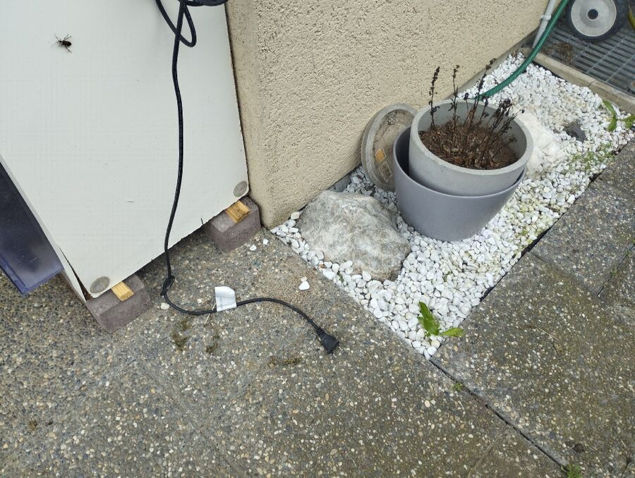 anti nuisibles a-Chardonne-Beratung.jpg