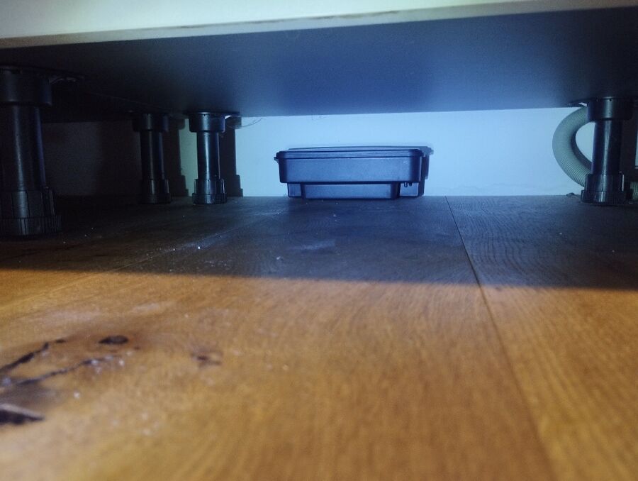 anti nuisibles a-Movelier-Beratung.jpg