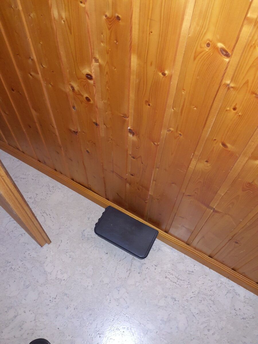 anti nuisibles a-Chavannes-près-Renens-Beratung.jpg