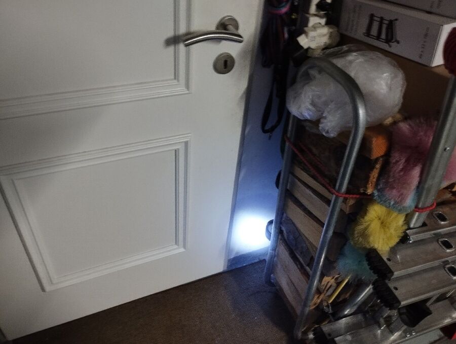 anti nuisibles a-Soyhières-Beratung.jpg