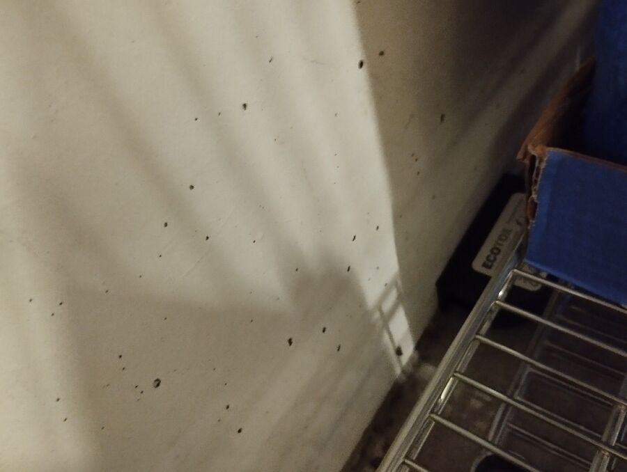 anti nuisibles a-Chéserex-Beratung.jpg