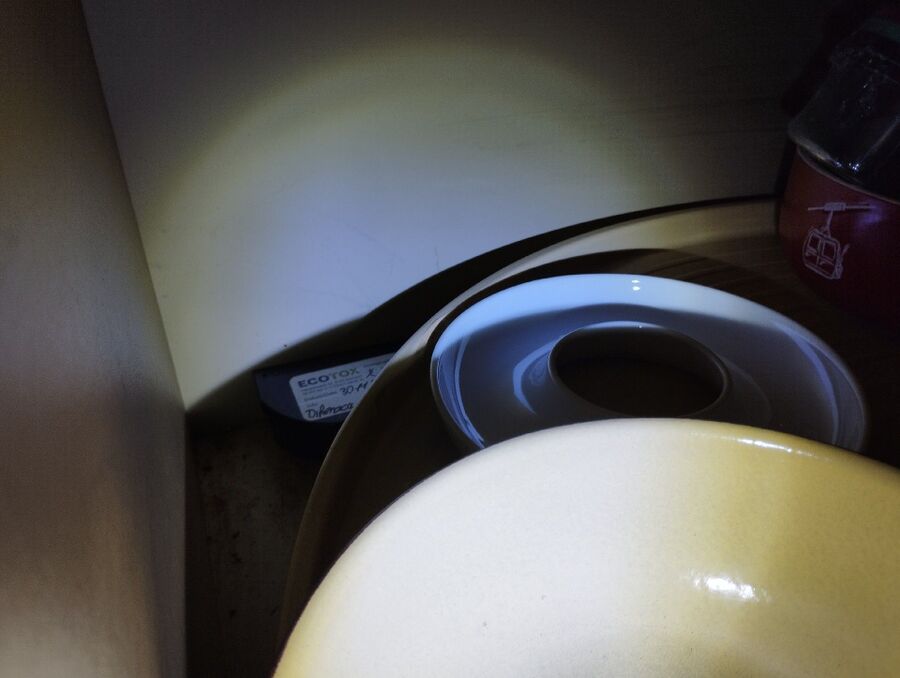 anti nuisibles a-Chevroux-Beratung.jpg