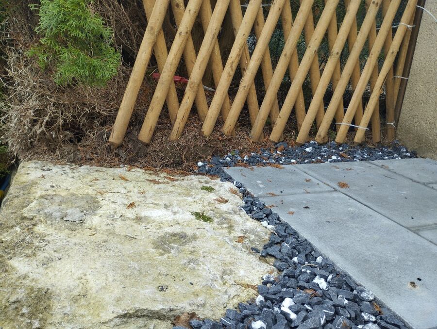 anti nuisibles a-Ayent-Beratung.jpg