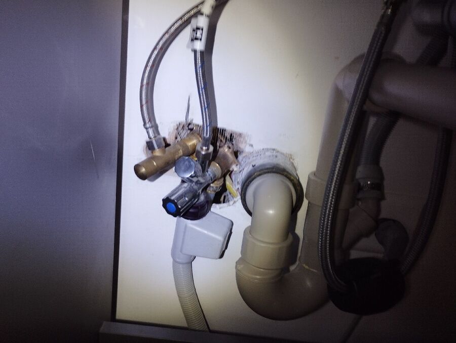 anti nuisibles a-Baltschieder-Beratung.jpg