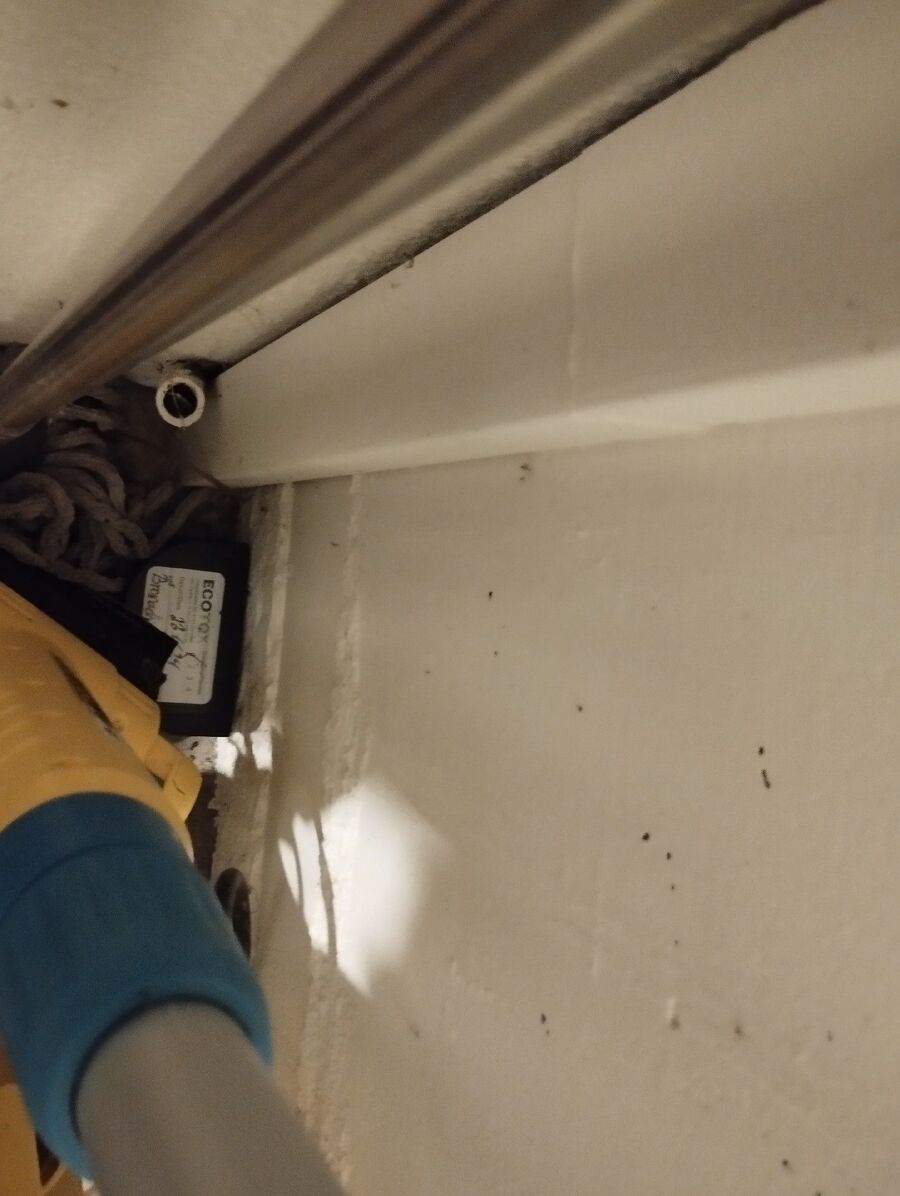 anti nuisibles a-Bettmeralp-Beratung.jpg