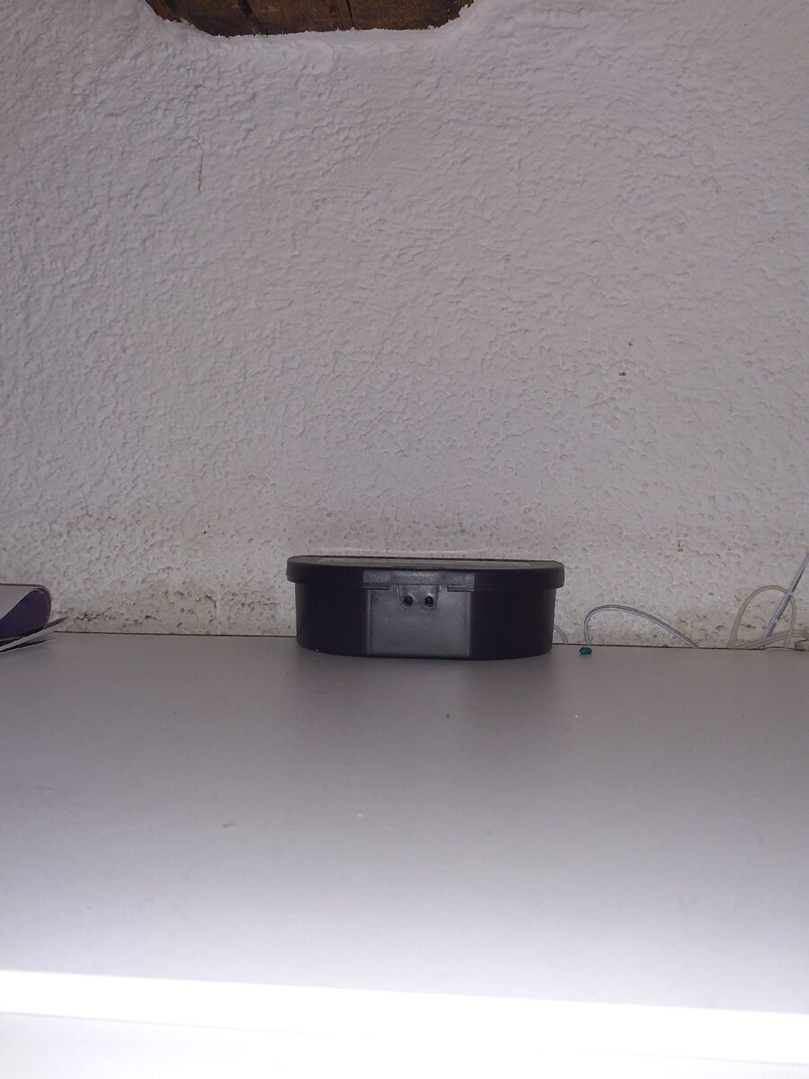 anti nuisibles a-Bitsch-Beratung.jpg