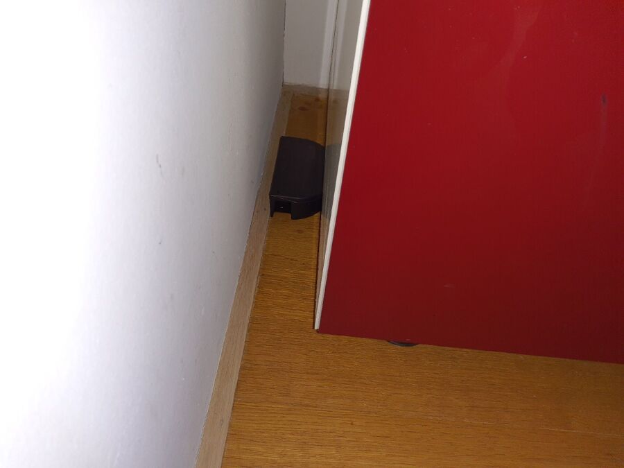 anti nuisibles a-Cossonay-Beratung.jpg