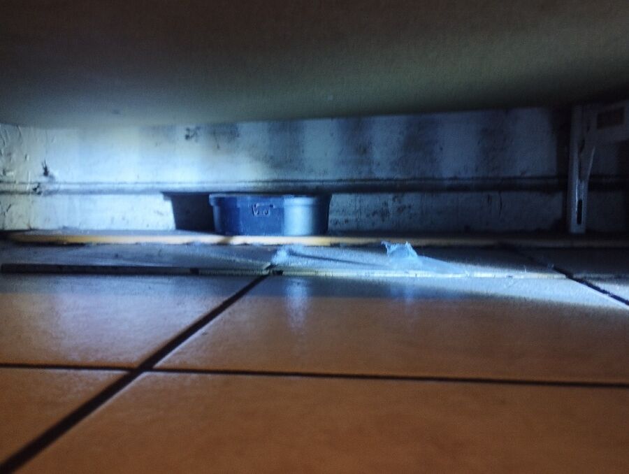 anti nuisibles a-Crassier-Beratung.jpg