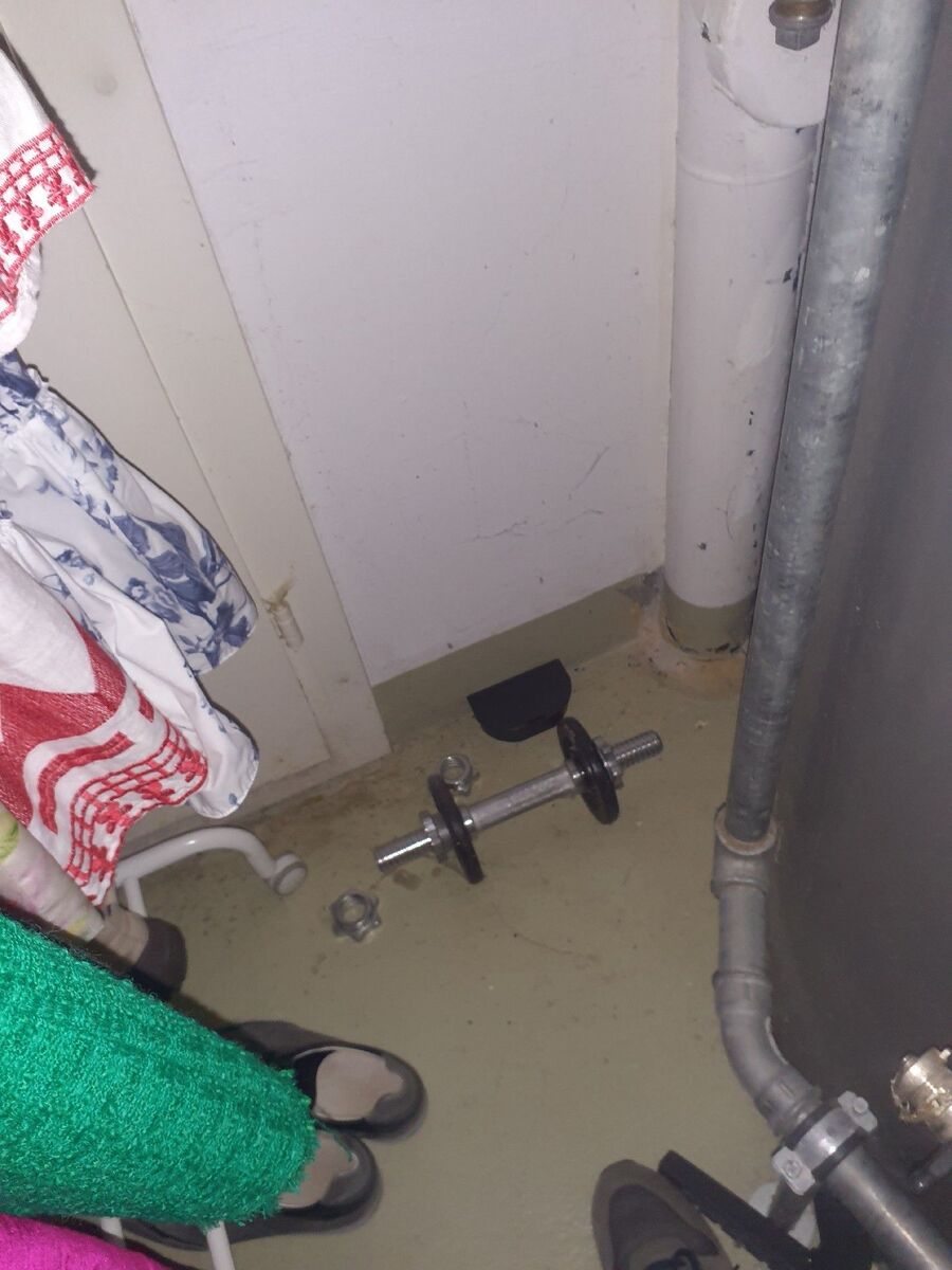 anti nuisibles a-Croy-Beratung.jpg