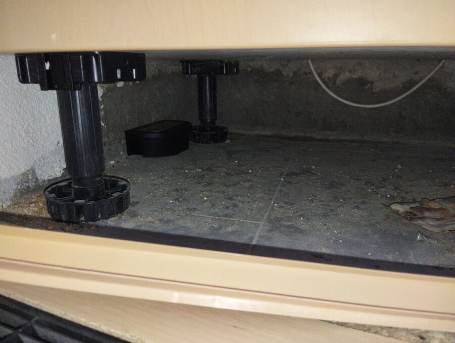 anti nuisibles a-Le Landeron-Beratung.jpg