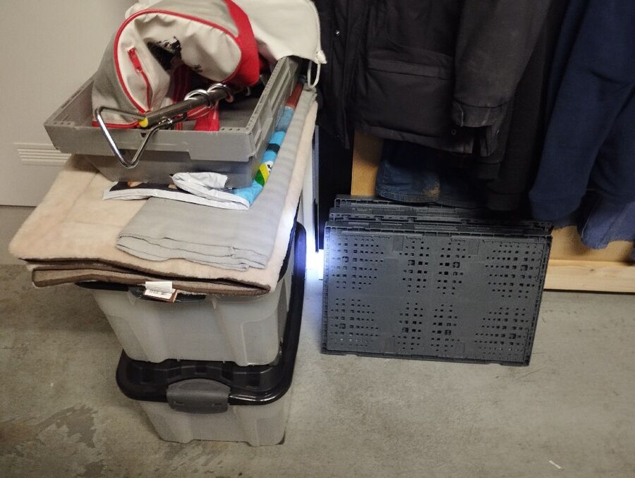 anti nuisibles a-Cudrefin-Beratung.jpg