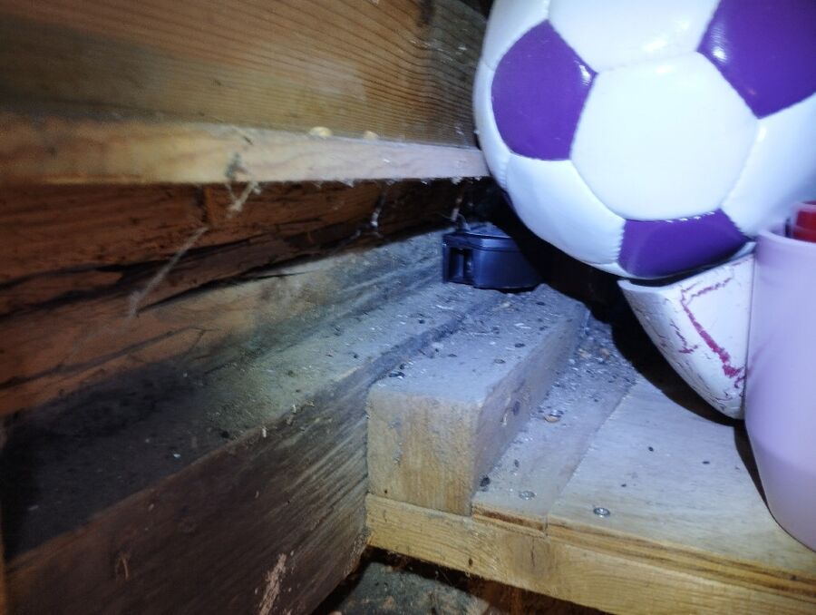 anti nuisibles a-Eischoll-Beratung.jpg