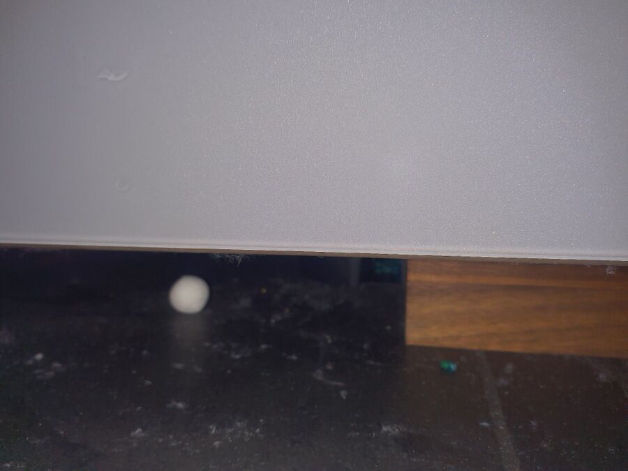 anti nuisibles a-Ergisch-Beratung.jpg