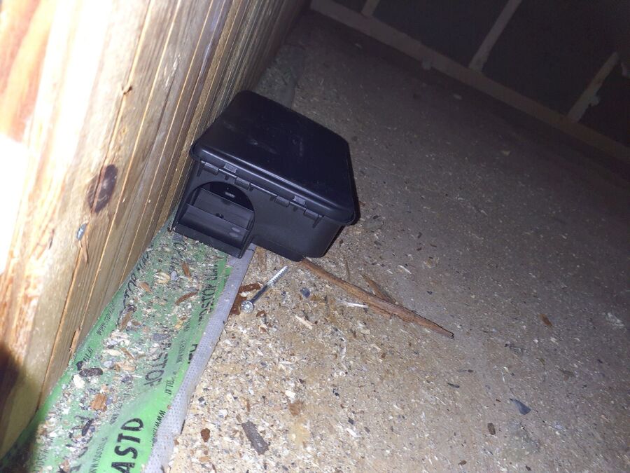 anti nuisibles a-Ernen-Beratung.jpg