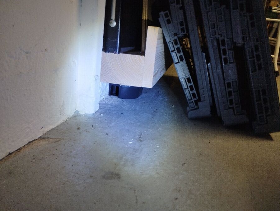 anti nuisibles a-Evionnaz-Beratung.jpg