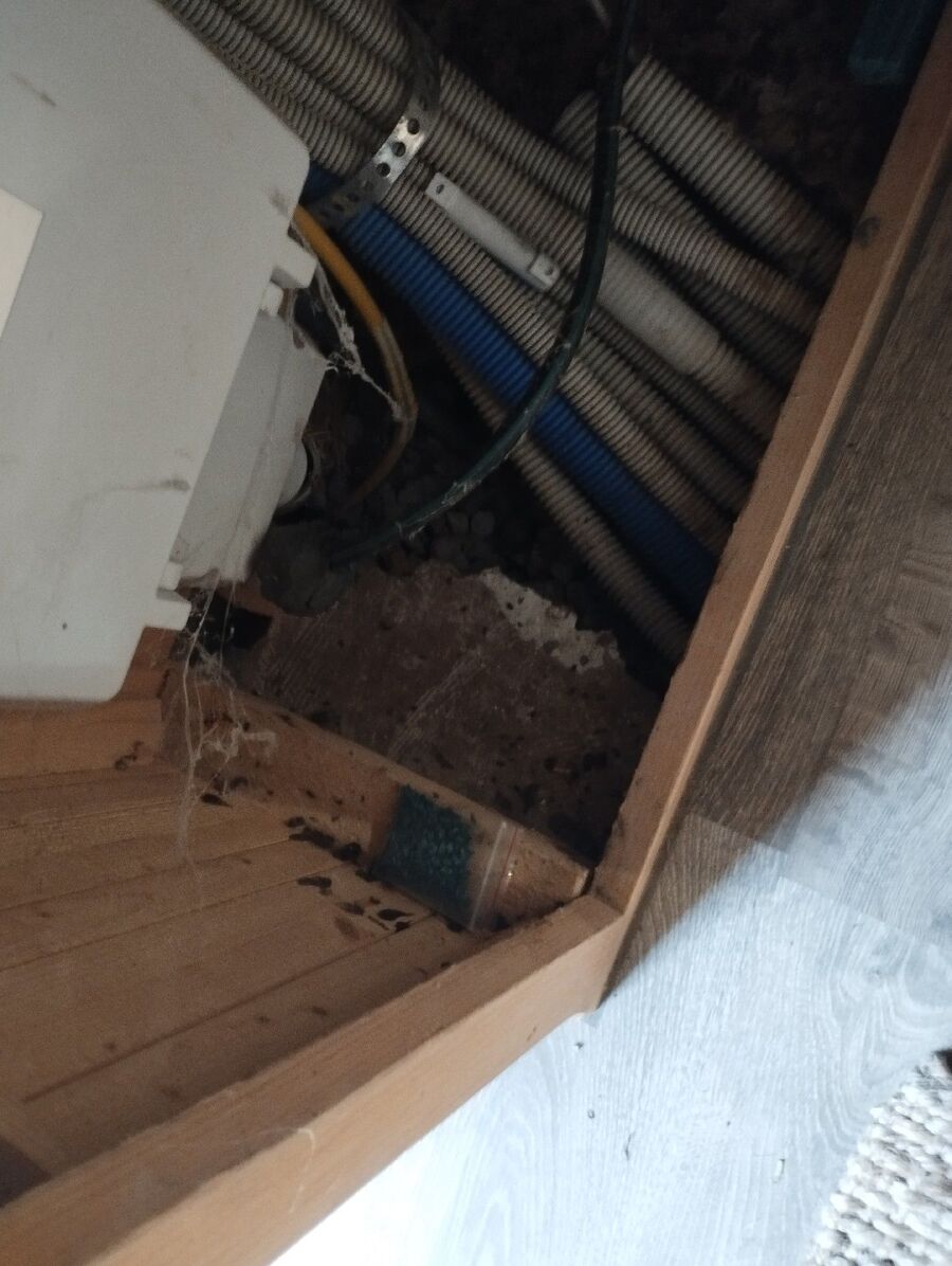 anti nuisibles a-Le Locle-Beratung.jpg