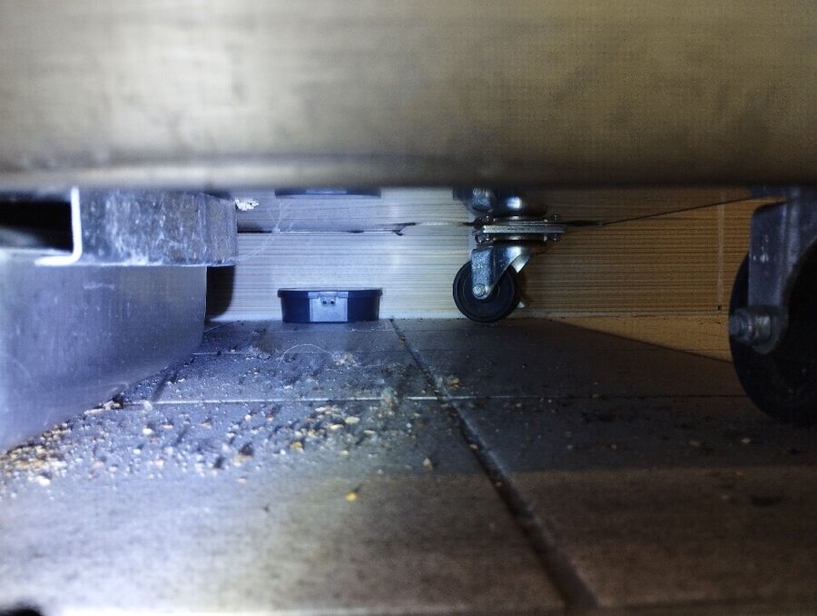 anti nuisibles a-Gampel-Bratsch-Beratung.jpg