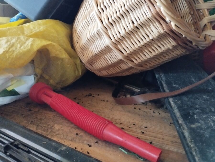 anti nuisibles a-Ependes (VD)-Beratung.jpg