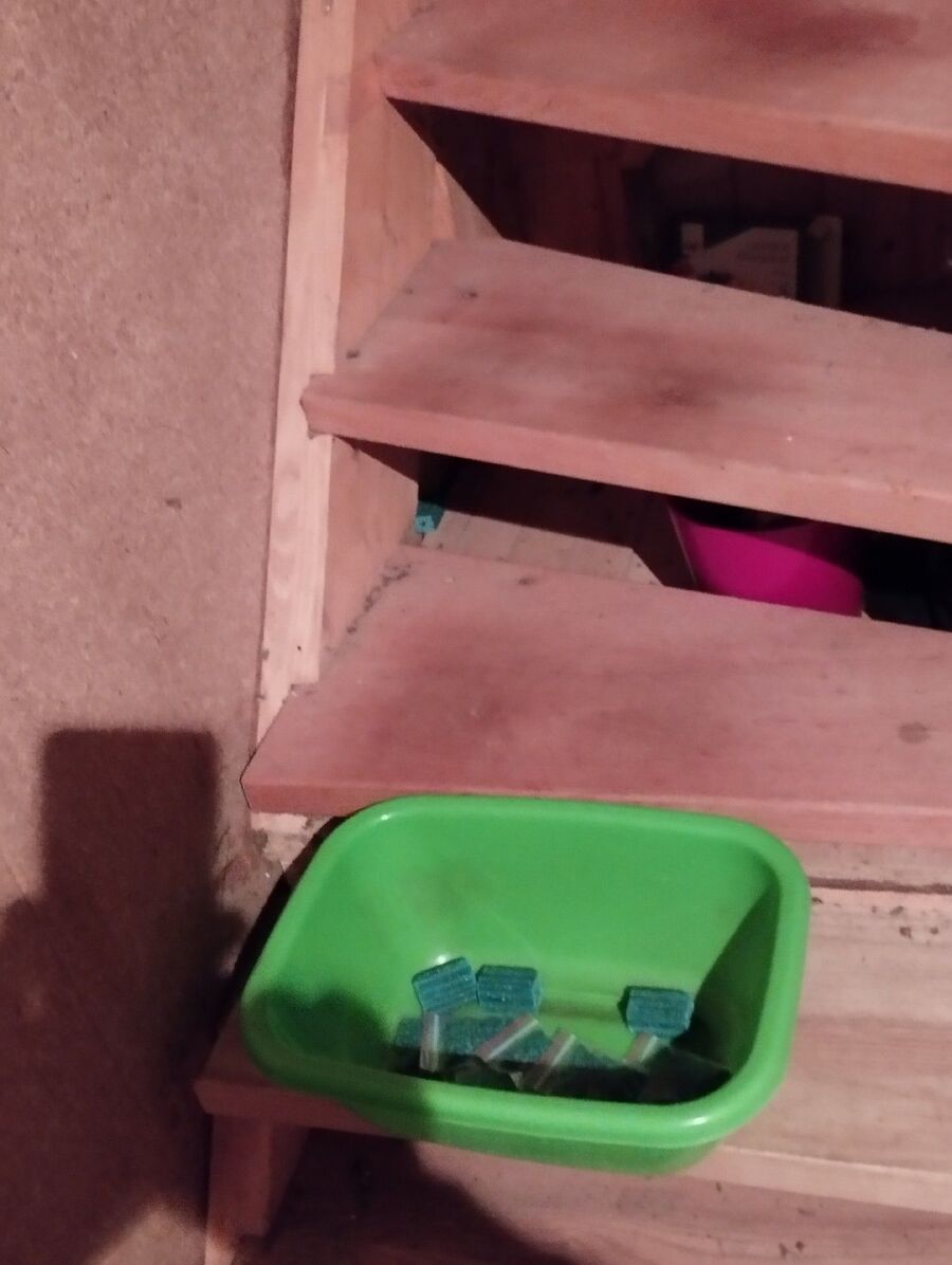 anti nuisibles a-Grimisuat-Beratung.jpg