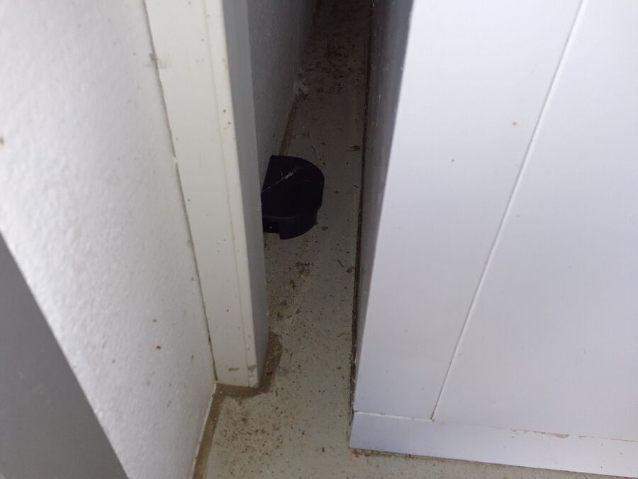 anti nuisibles a-Grône-Beratung.jpg