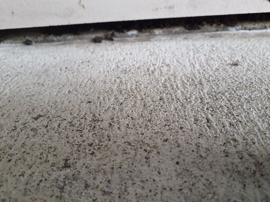 anti nuisibles a-Guttet-Feschel-Beratung.jpg