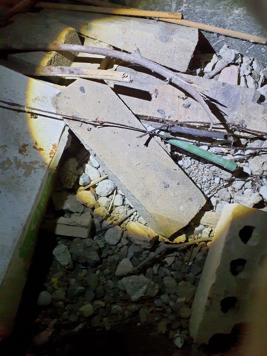 anti nuisibles a-Hérémence-Beratung.jpg