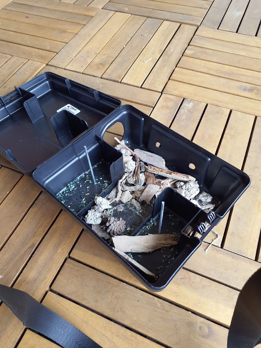 anti nuisibles a-Inden-Beratung.jpg