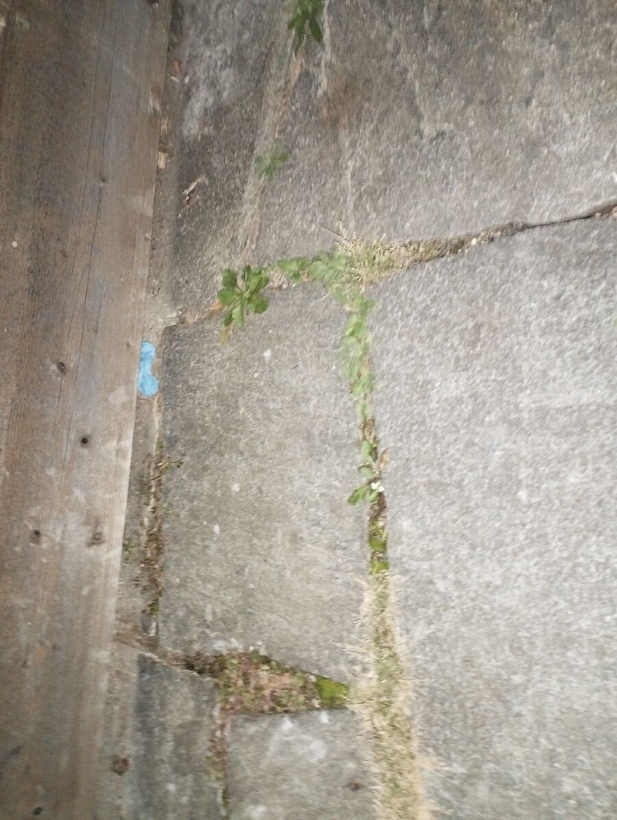 anti nuisibles a-Isérables-Beratung.jpg