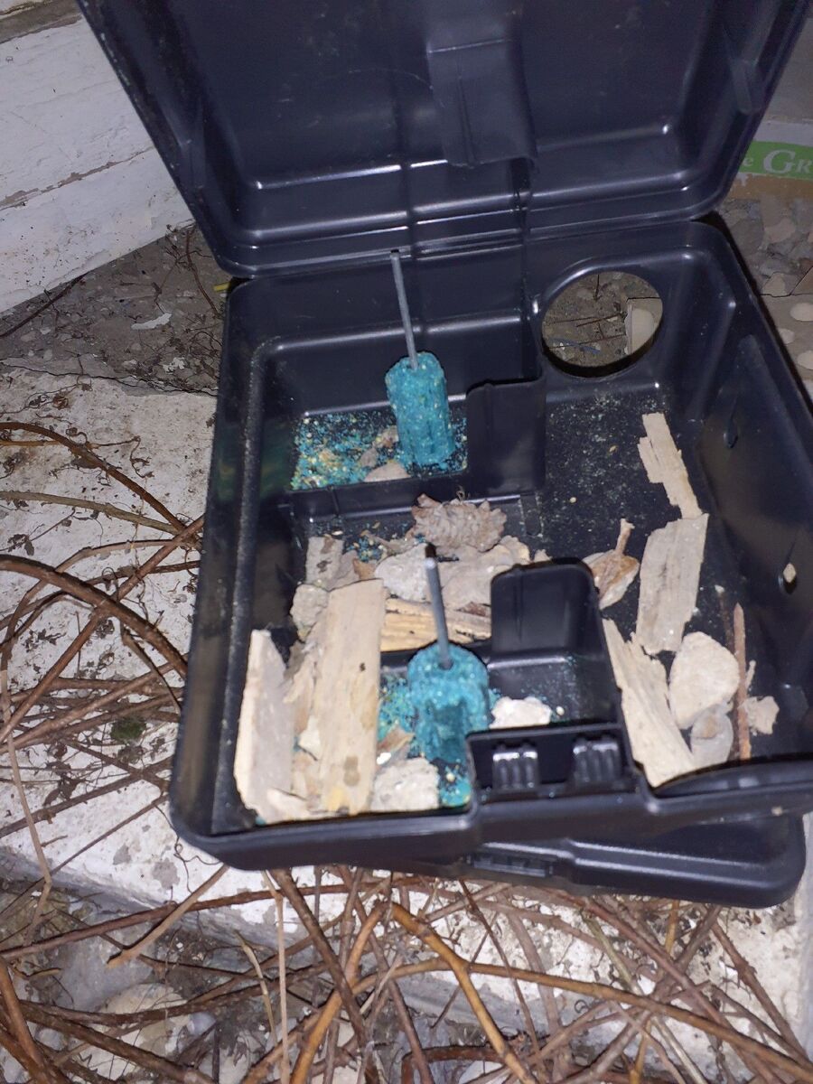 anti nuisibles a-Ferreyres-Beratung.jpg