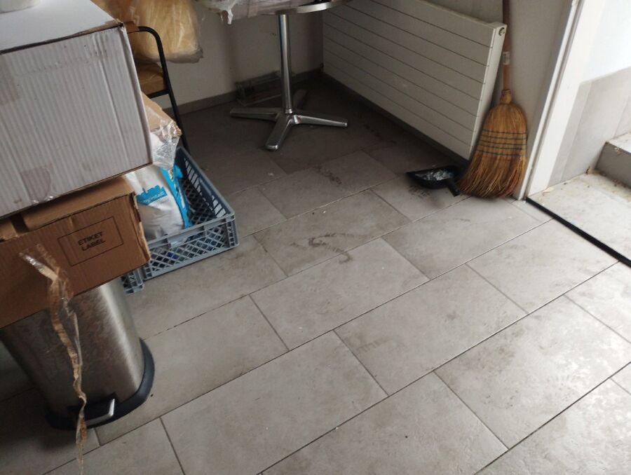 anti nuisibles a-Fontaines-sur-Grandson-Beratung.jpg