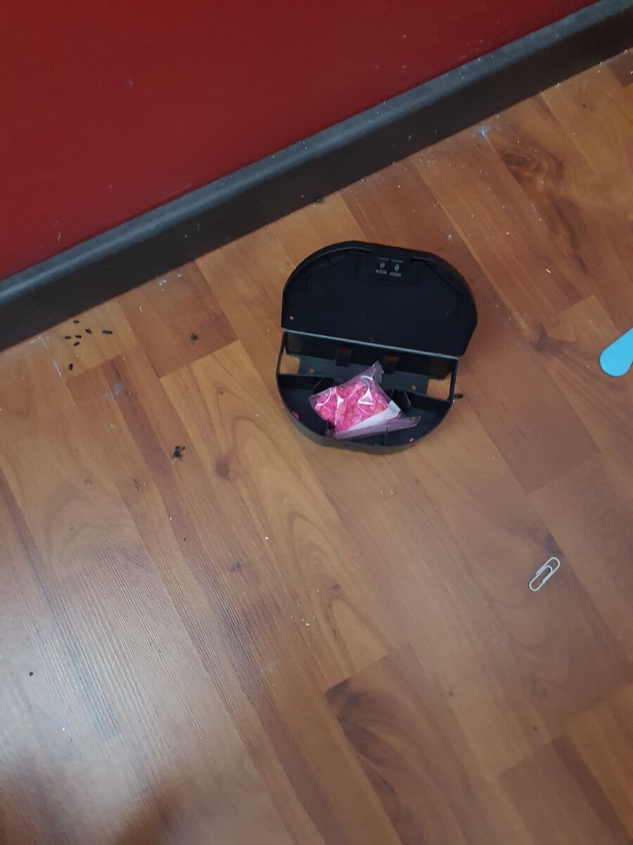 anti nuisibles a-Leukerbad-Beratung.jpg