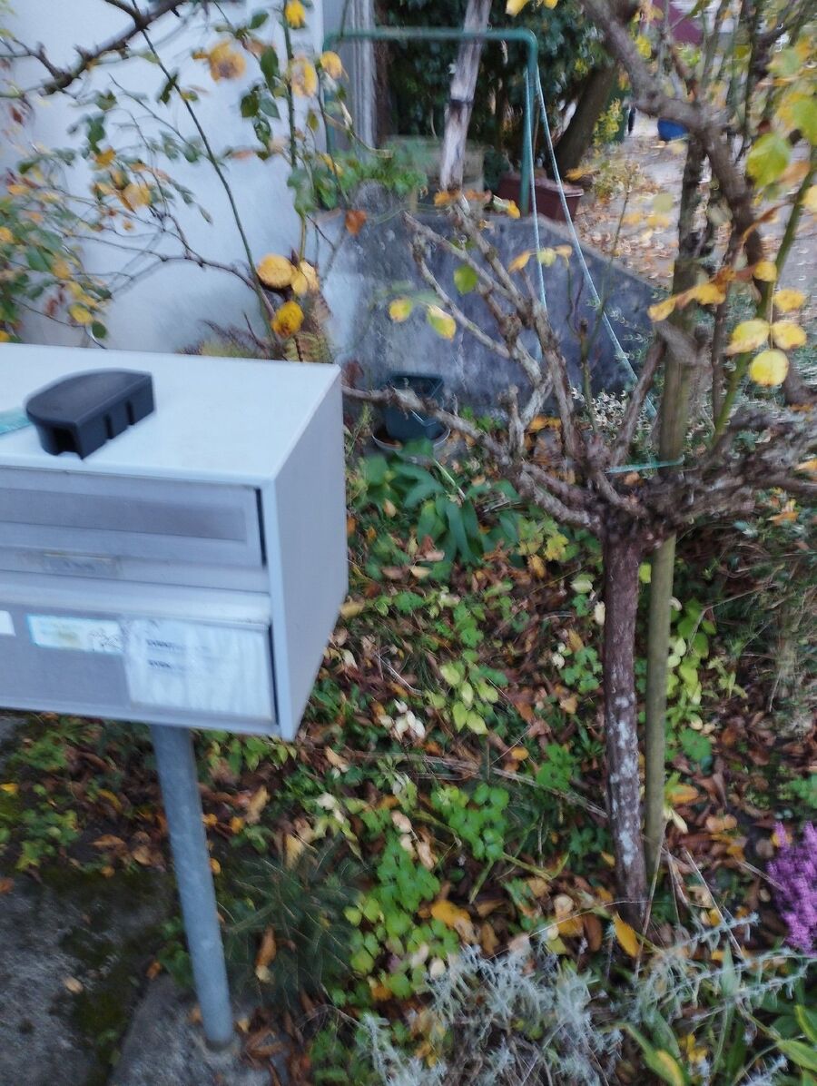 anti nuisibles a-Martigny-Combe-Beratung (186).jpeg