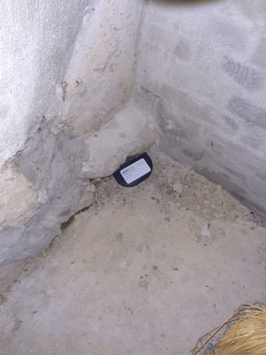 anti nuisibles a-Gimel-Beratung.jpg