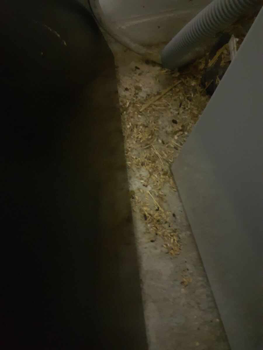 anti nuisibles a-Mont-Noble-Beratung.jpg