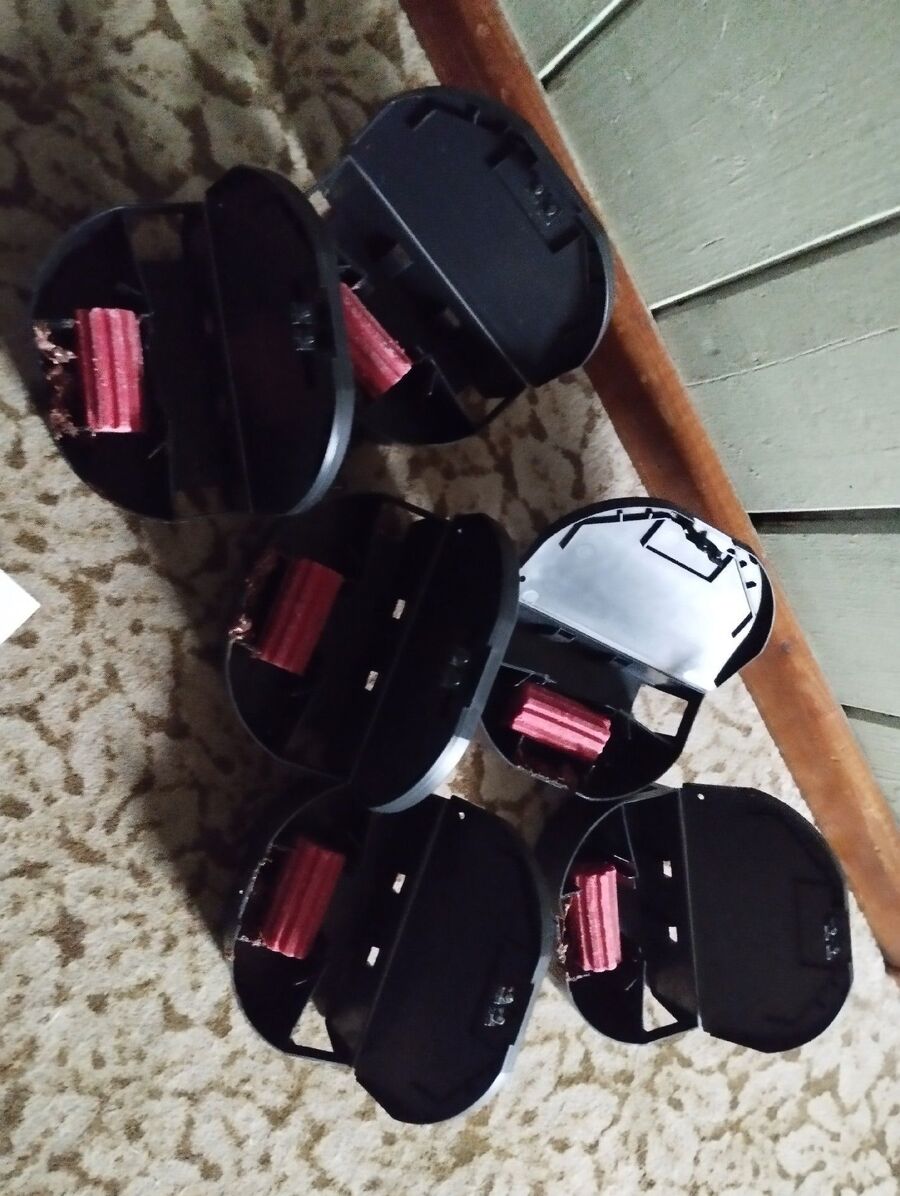 anti nuisibles a-Naters-Beratung.jpg