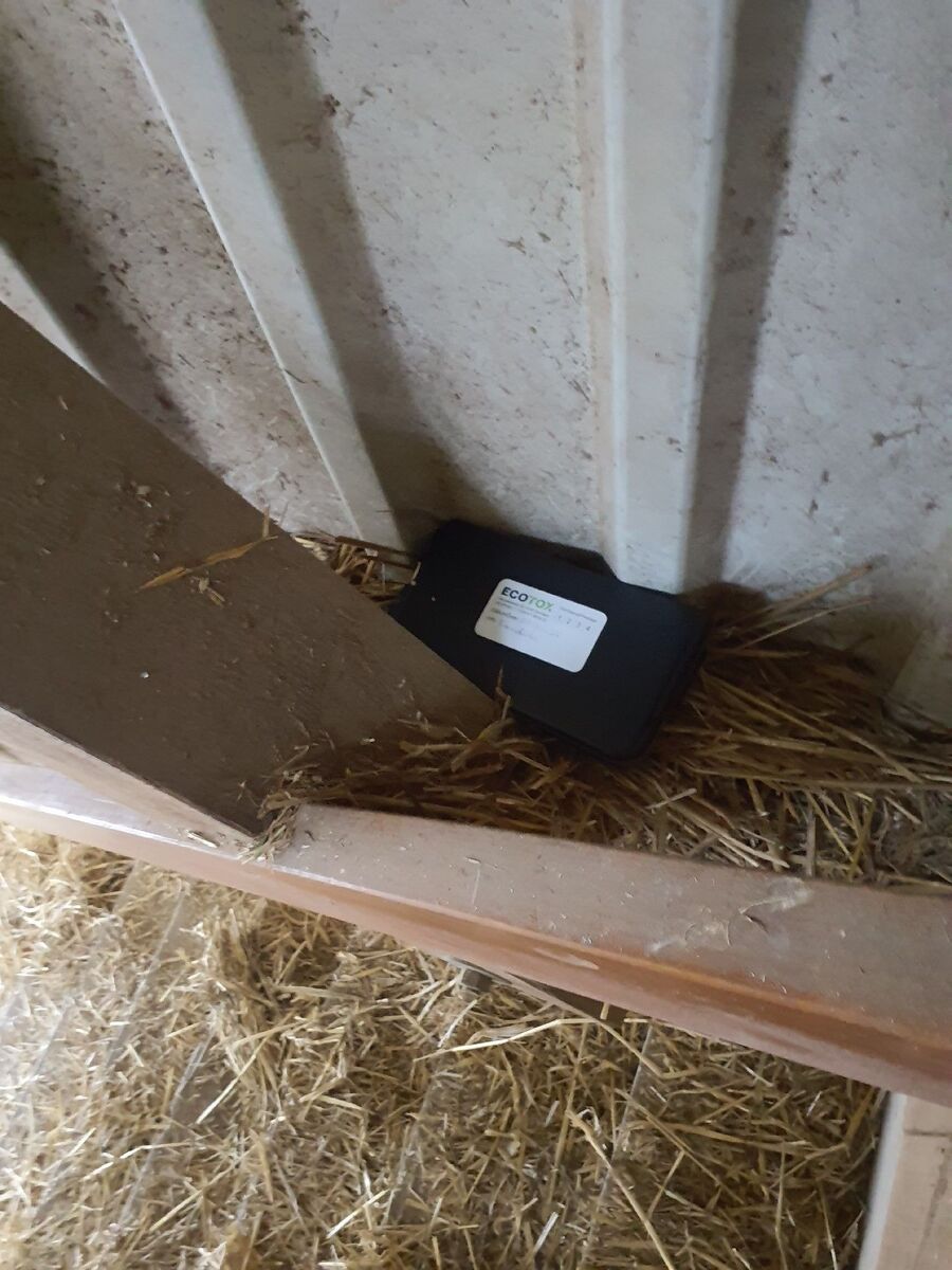 anti nuisibles a-Le Pâquier (FR)-Beratung.jpg