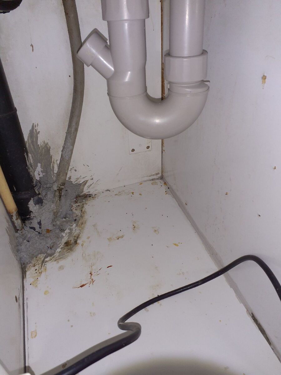 anti nuisibles a-Ried-Brig-Beratung.jpg