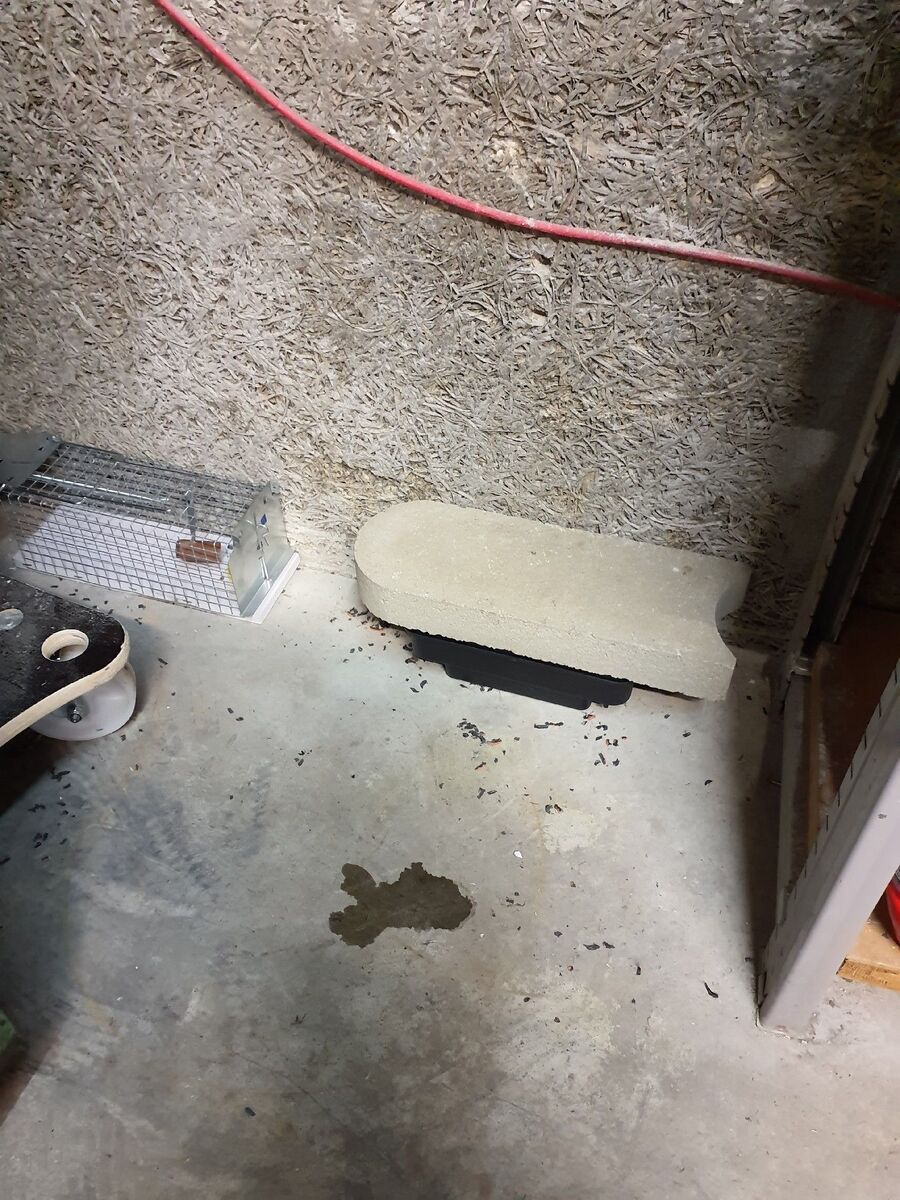 anti nuisibles a-Jouxtens-Mézery-Beratung.jpg