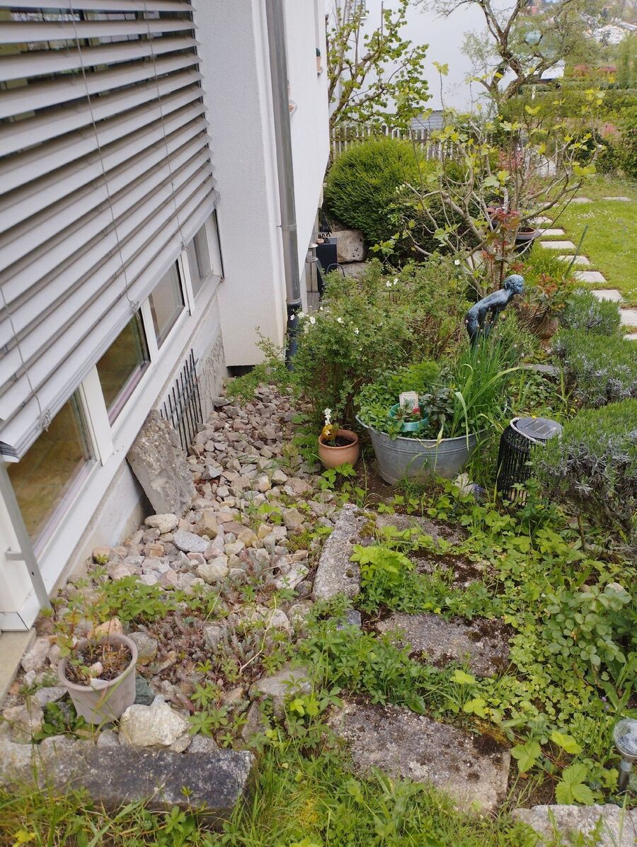 anti nuisibles a-Saint-Martin (VS)-Beratung.jpg