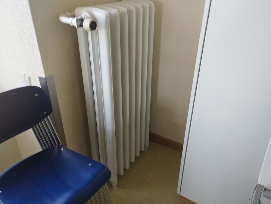 anti nuisibles a-Saint-Maurice-Beratung.jpg