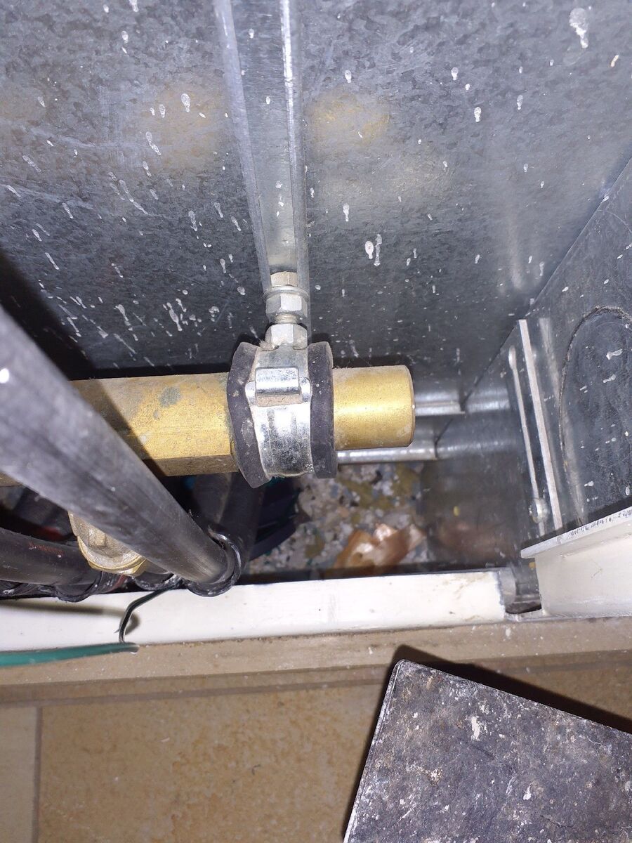 anti nuisibles a-Pierrafortscha-Beratung.jpg